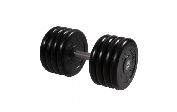 Гантель Профи, 41 кг MB Barbell MB-FdbM-B41 600_380