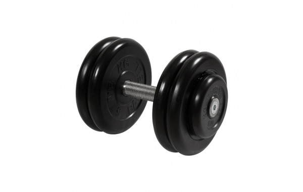 Гантель Профи, 23,5 кг MB Barbell MB-FdbM-B23,5 600_380