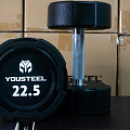 Гантель EVO 25кг полиуретановая YouSteel 120_120